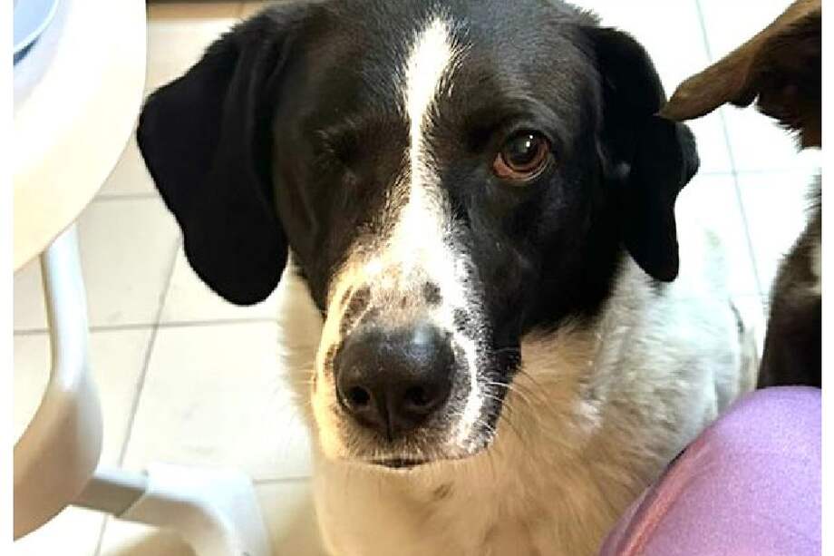 Su familia continúa buscándola con mucha esperanza y agradece cualquier información.