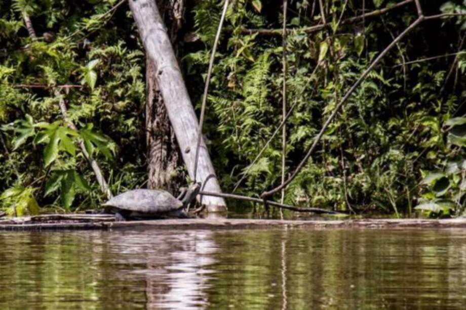 Dos estudiantes heridos tras accidente en Amazonas permanecen hospitalizados