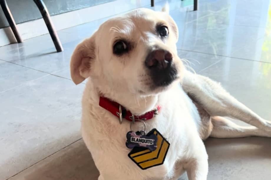 Blanquito fue adoptado por los policías en 2017.