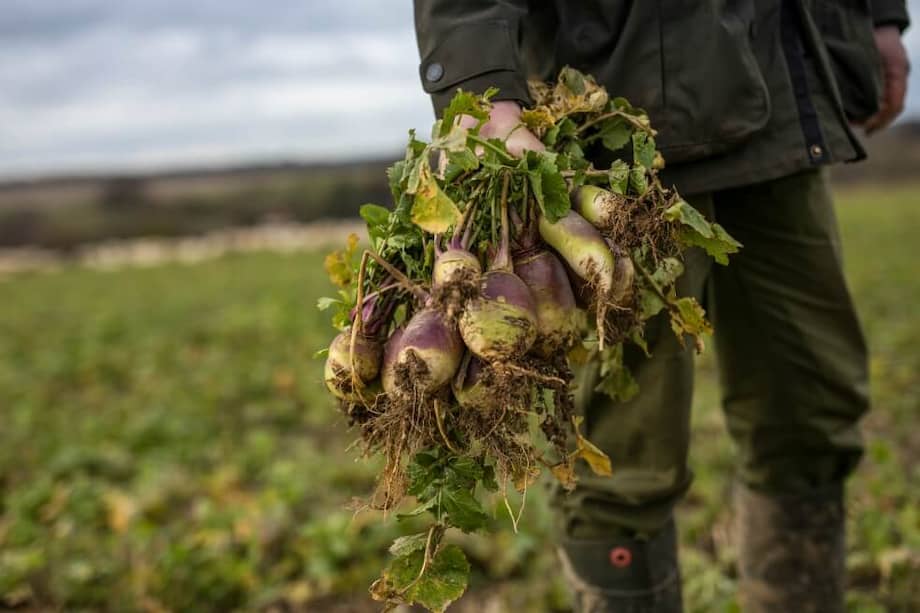 Actualmente hay 5.000 propietarios y agricultores en la plataforma. / Bloomberg.