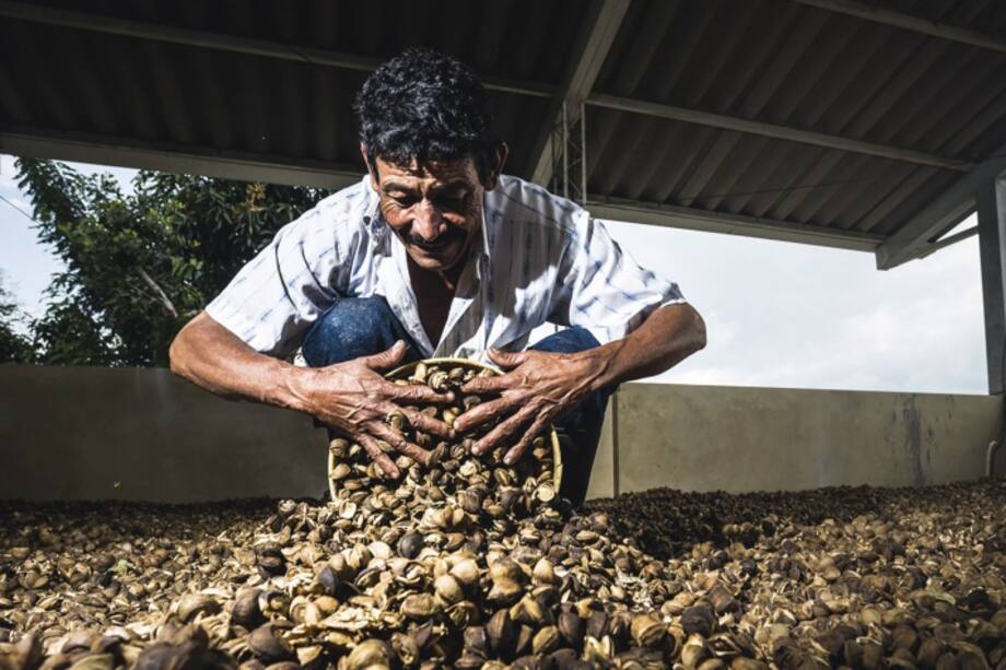 El postconflicto se anticipa con bienestar y belleza