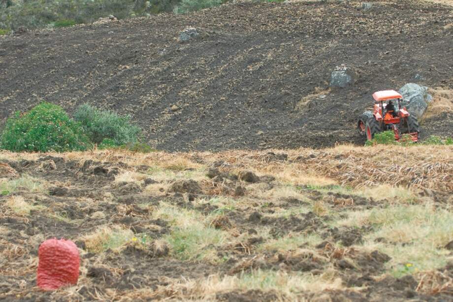 La resolución que ordena la delimitación del Cruz Verde - Sumapaz se encuentra detenida por un fallo judicial.