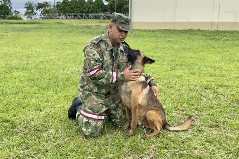 Wilson nació en Chiquinquirá, Boyacá, y fue entrenado en la especialidad de rastro e intervención.