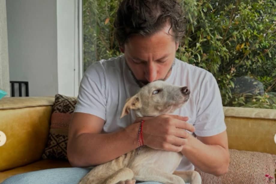 La noticia fue compartida por la Fundación Alma Perruna, organización que acompañó el rescate y la rehabilitación del canino.