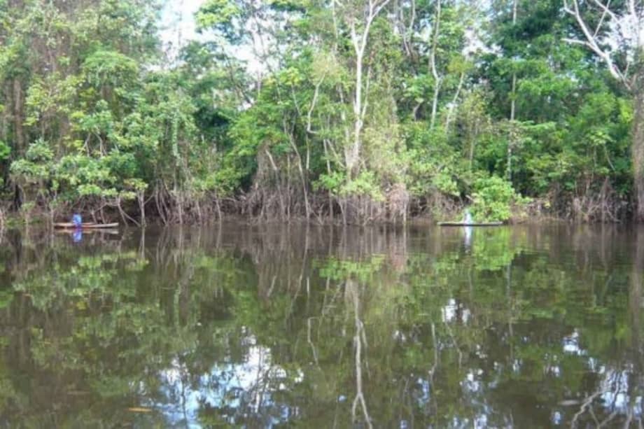 Países amazónicos deben evitar que el agua genere conflictos