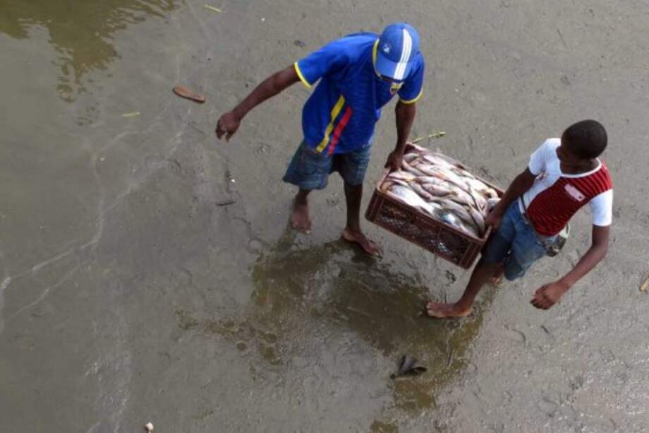 Foto: Angelica Cuevas