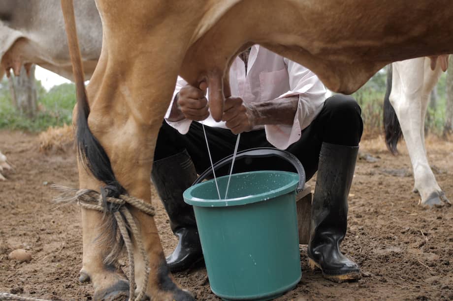 Imagen de referencia.