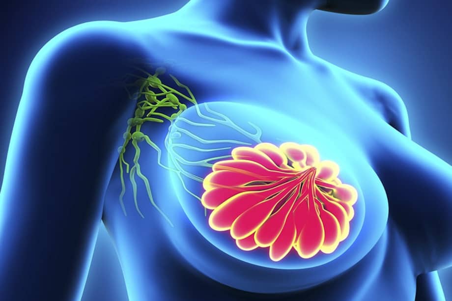 La iniciativa, denominada ‘Innpacto Rosa’, convoca a fundaciones de pacientes, startups, universidades, hospitales y profesionales del sector salud.