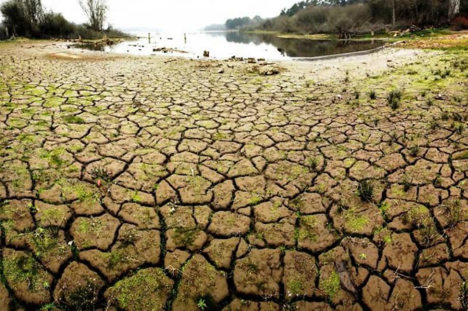 Archivo EFE / Archivo EFE