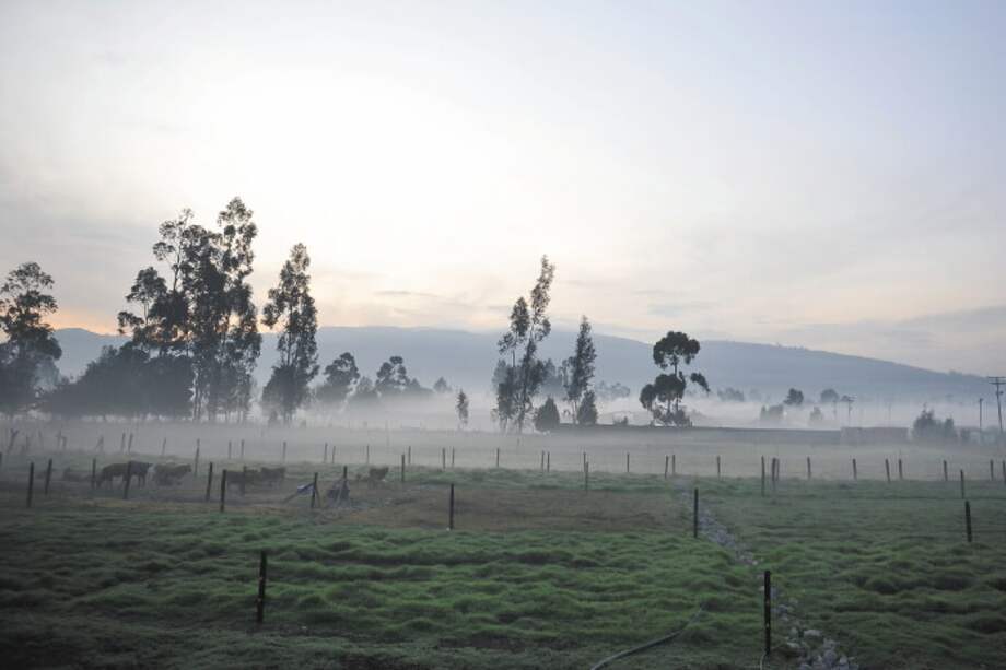 Nemocón ha sido el municipio en el que se han presentado las temperaturas más bajas, alcanzando los -4 °C. / Gustavo Torrijos - El Espectador