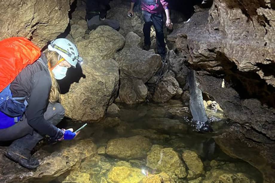 Investigadores buscan peces ciegos en la cueva del Río Subterráneo, en México.