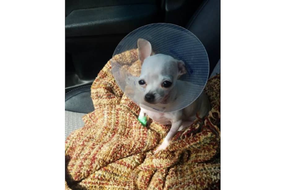 Foto tomada de @seth_2018 / Twitter