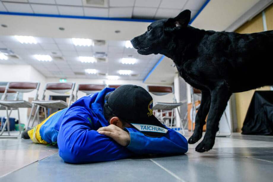 "Perros de asistencia" es el nombre que reciben los caninos que acompañan a personas con otro tipo de discapacidades / AFP