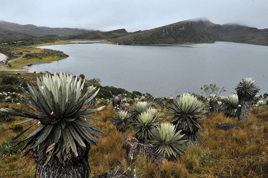 Abren inscripciones para conocer los pulmones de Bogotá