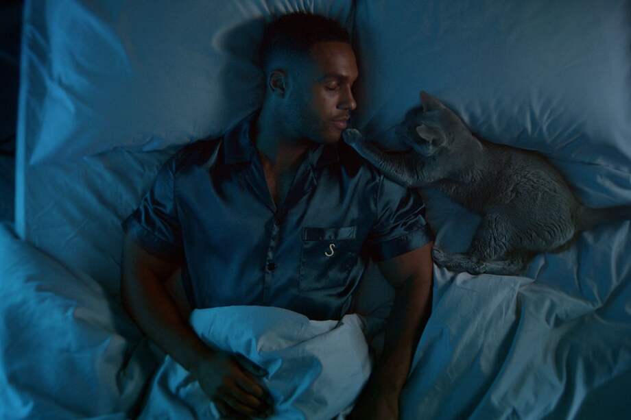 El actor colaboró con 4AM Stories, una iniciativa que usa inteligencia artificial para crear cuentos personalizados para dueños de gatos.