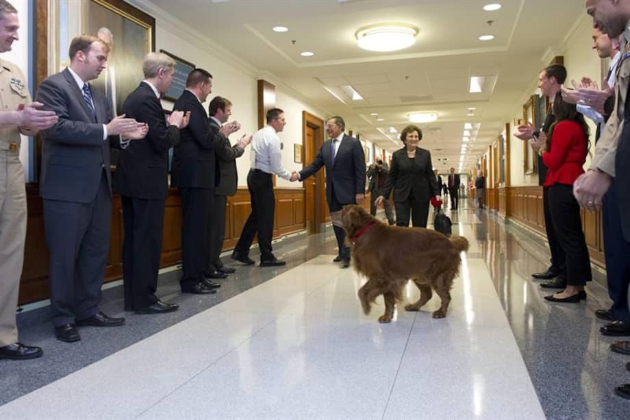 Bravo, el perro que "conoce" los secretos del Pentágono