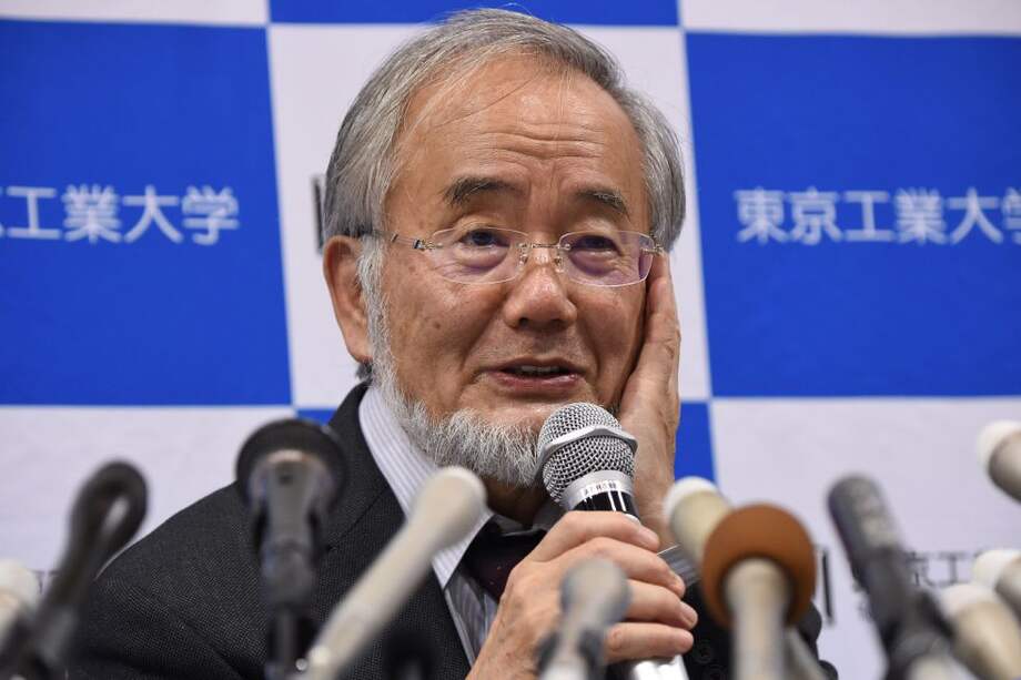 El japonés Yoshinori Ohsumi trabaja en el Instituto de Tecnología de Tokio. / AFP