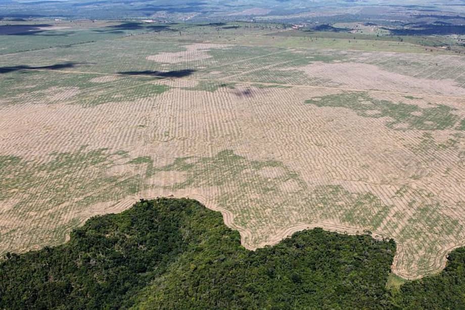 Imagen de referencia. La destrucción de la mayor selva tropical del mundo totalizó el equivalente a1.088 km 7,4 veces el territorio de la Ciudad de México.