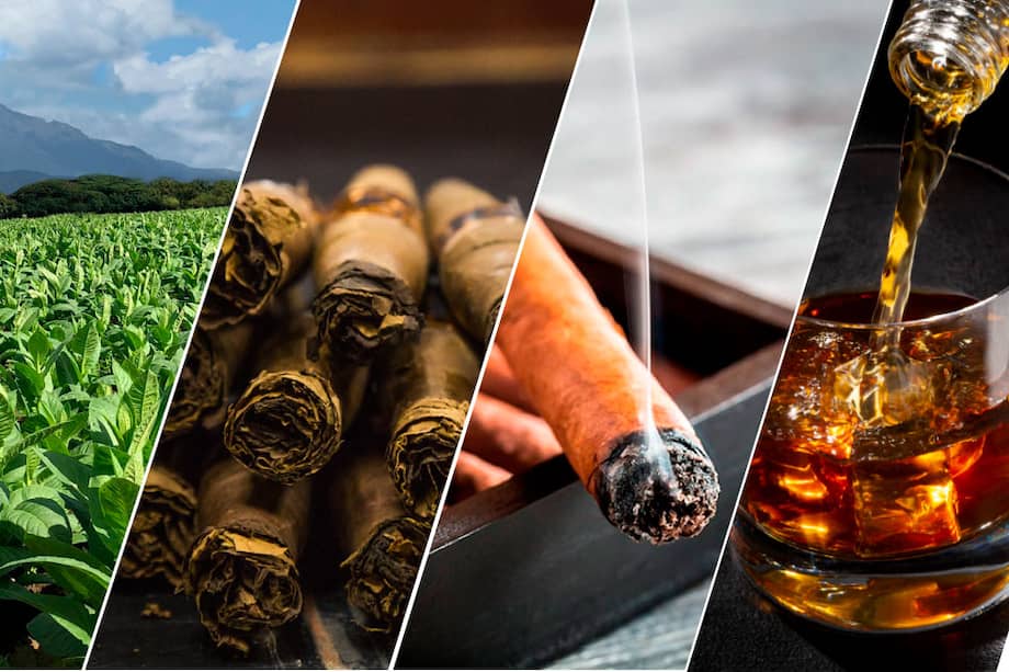 No hay mejor maridaje para un cigarro
dominicano que el ron.