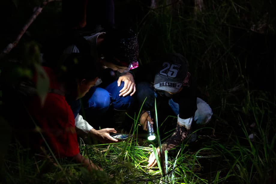 Ciudadanos observando reptiles y anfibios en Leticia, Amazonas, Colombia. Proyecto BioBlitz / Foto: Felipe Villegas Instituto Humboldt