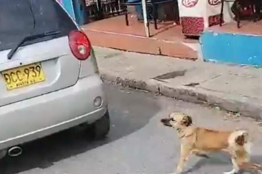 Los habitantes que grabaron el hecho piden a las autoridades que ubiquen al conductor e investiguen qué fue lo que pasó.