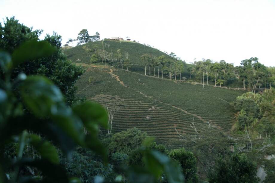 Entre enero y marzo de 2016 se ha registrado una producción de casi 3,2 millones de sacos. / Archivo