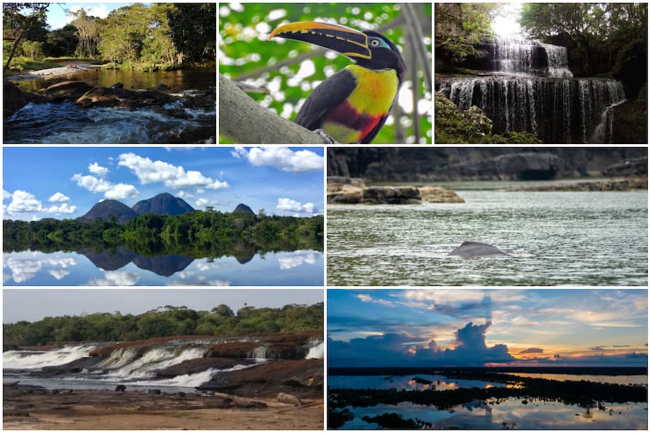 7 lugares para descubrir la riqueza natural de la Amazonía colombiana.