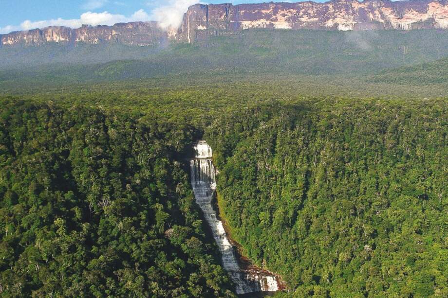 La selva amazónica tiene una extensión de más de ocho millones de km2 entre los nueve países que la componen. /Taylor Nunes