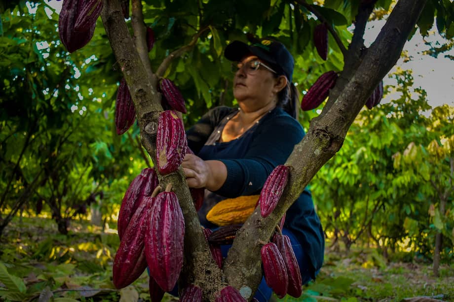 Vista Hermosa, Meta.
