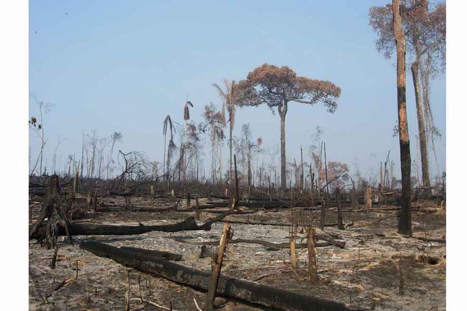 Reciente deforestación en la Amazonia brasileña. / Alexander Lees