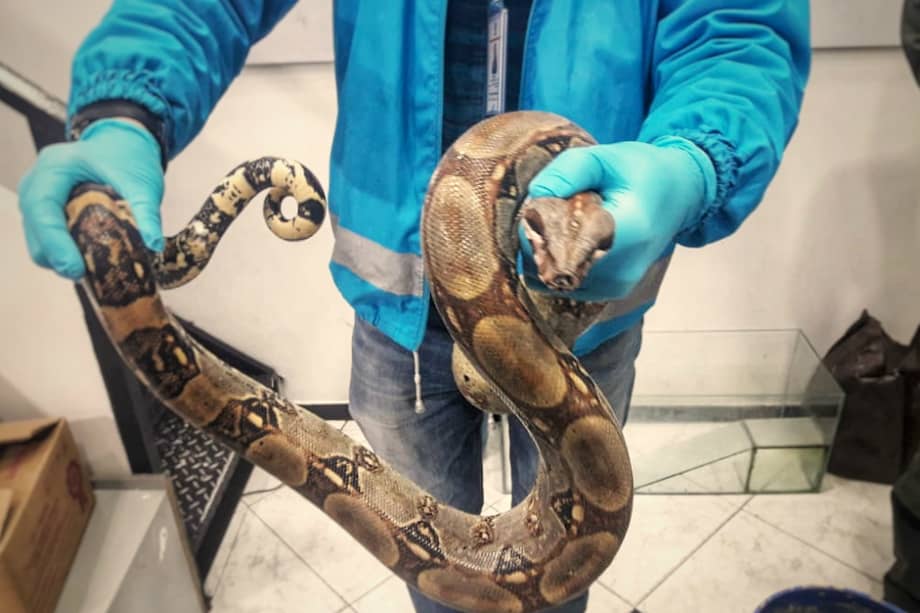 Secretaría de Ambiente