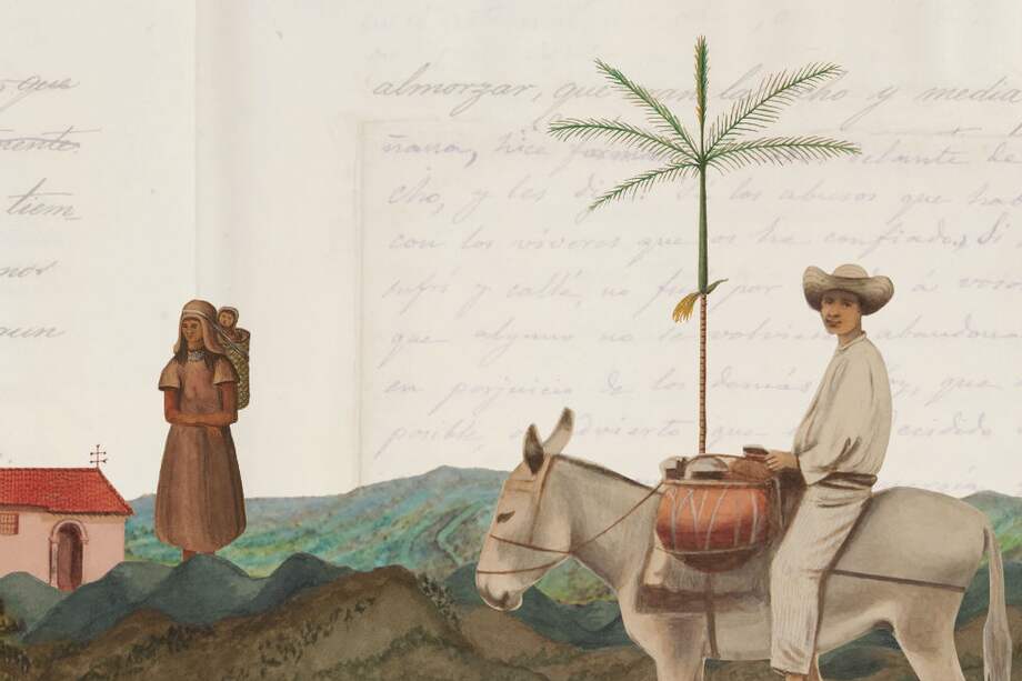 Todo el tratamiento gráfico de la plataforma se nutre de las imágenes del diario mismo, que pueden ser consultadas en alta resolución por los usuarios. / Biblioteca Luis Ángel Arango