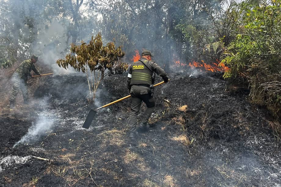 La mitigación del incendio se complicó por las dificultades para entrar a la zona donde estaba el foco.