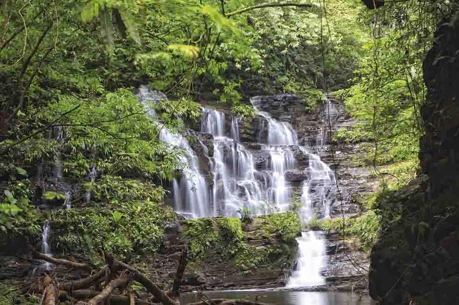 Parque Nacional Los Katíos (entre Chocó y Antioquia).