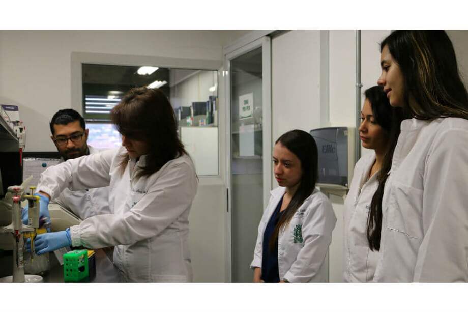 Grupo Gastrohepatología de la Facultad de Medicina, Universidad de Antioquia. / Universidad de Antioquia.