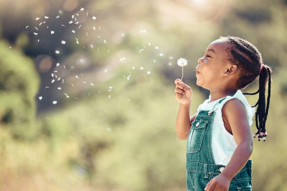 Colombia lidera la transición hacia gases refrigerantes naturales, con un impacto muy reducido en la capa de ozono.