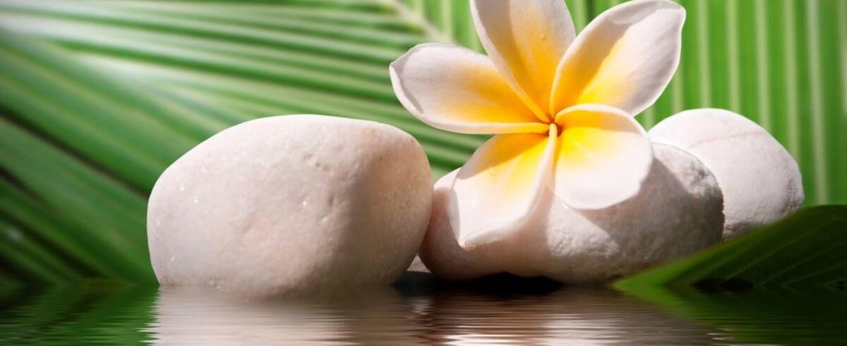 Piedras y flores según tu signo zodiacal