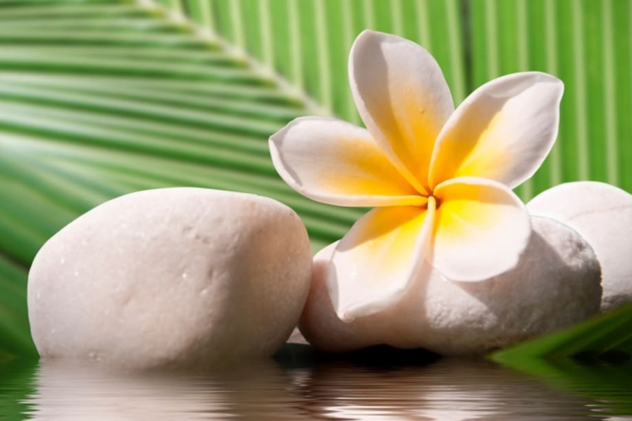 Piedras y flores según tu signo zodiacal