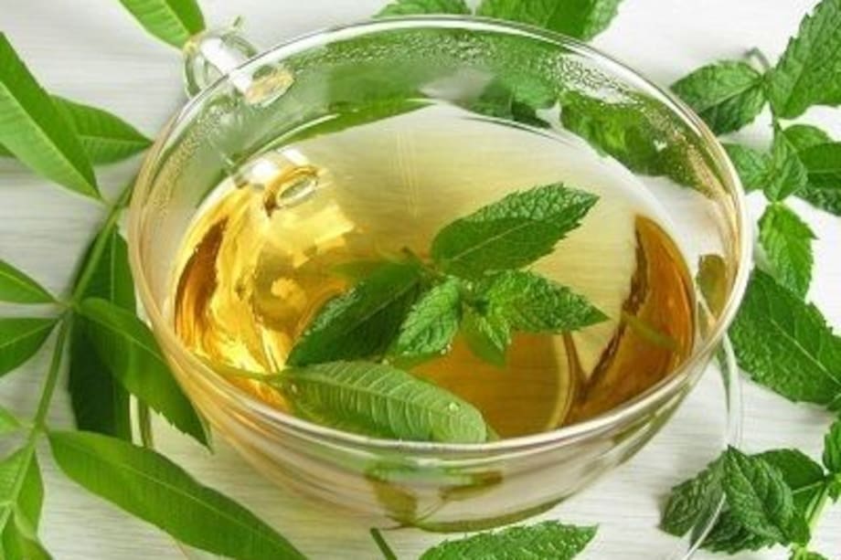 Aprende los múltiples beneficios del cedrón y cómo puede mejorar tu calidad de vida.