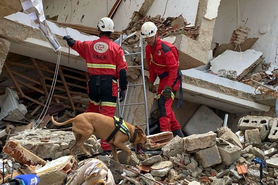 La perra de la Unidad Canina de los bomberos del Ayuntamiento de Alicante, Nala, que ha viajado hasta Venezuela para buscar supervivientes en la zona cero del doble terremoto, junto a su guía Rafa Arnau y un equipo de búsqueda y rescate de la asociación de voluntarios GEA.