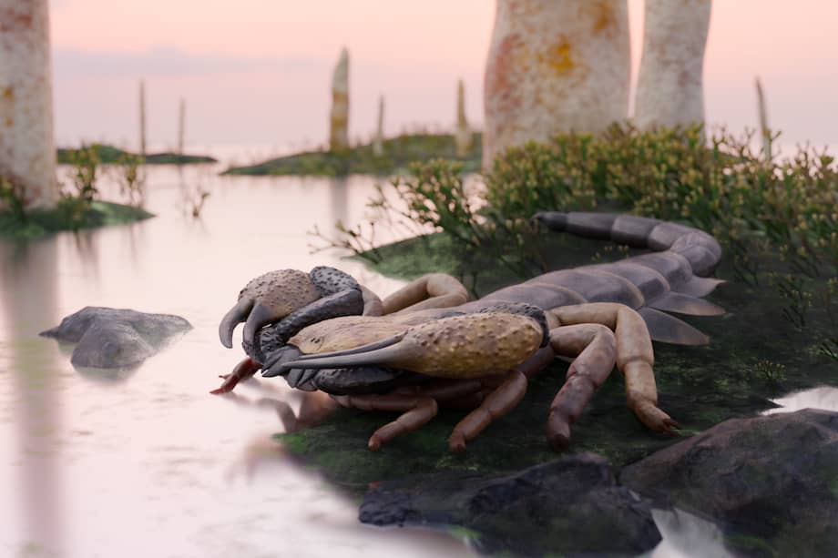 Reconstrucción de este escorpión gigante que vivió durante el Devónico Inferior.