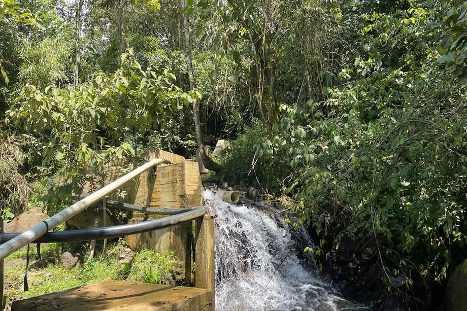 Según el colectivo ambiental Cañabrava, el acueducto comunitario de Santa Ana provee a más de 500 familias.