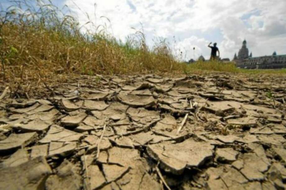 Más de 11 hectáreas afectadas en el Valle por el fenómeno de El Niño