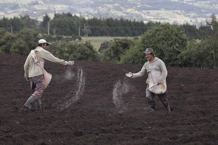 Los beneficiarios de títulos del Incoder deben ser campesinos pobres. / Archivo - El Espectador