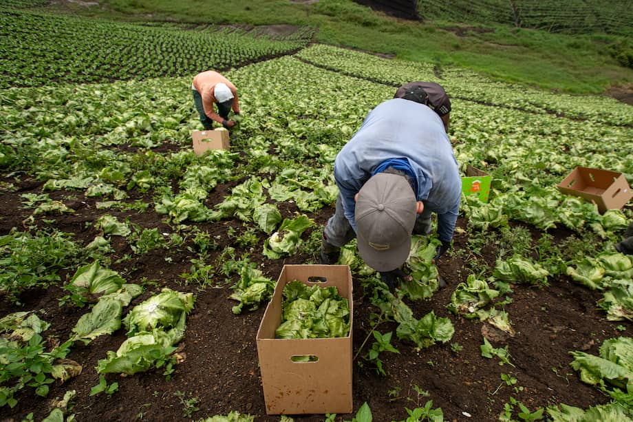 Imagen de referencia.