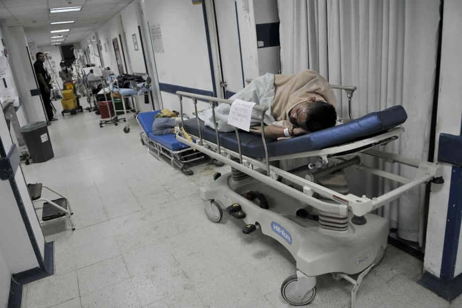 Imagen de referencia.