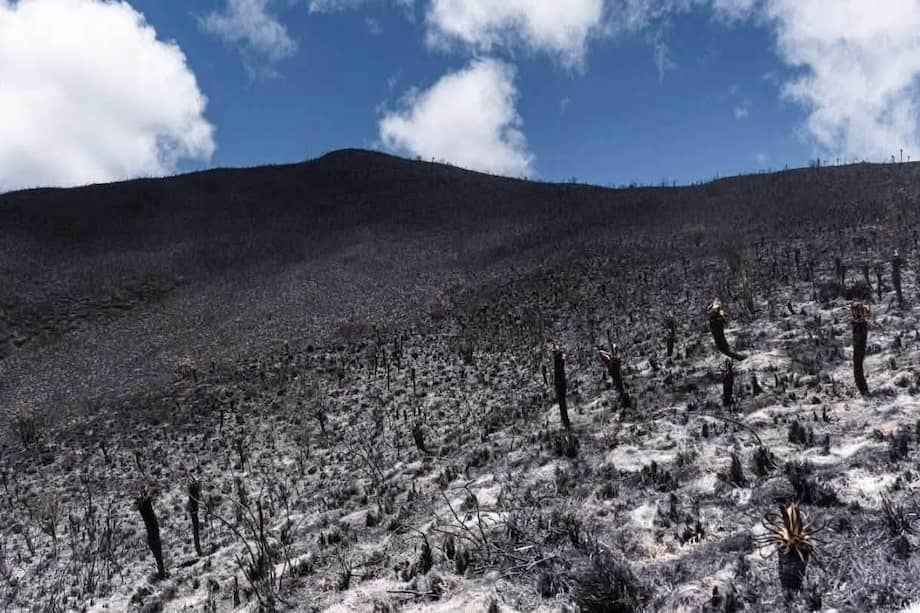 La gobernación de Nariño ha reportado 192 incendios en lo que va de esta temporada seca.