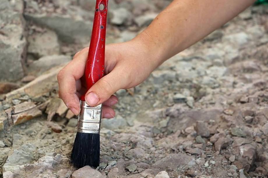 Archivo - Agencia Anadolu