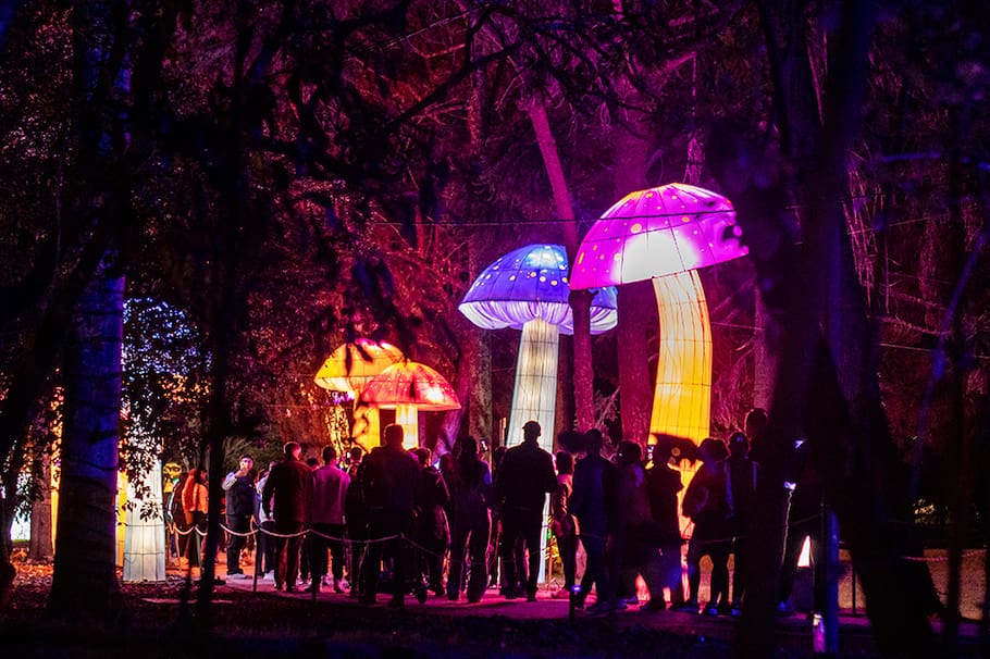 Planes en Bogotá: disfruta un show de luces en el Jardín Botánico