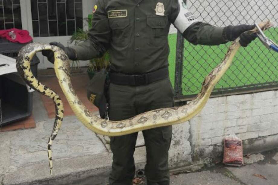 Foto: Policía Metropolitana de Bogotá